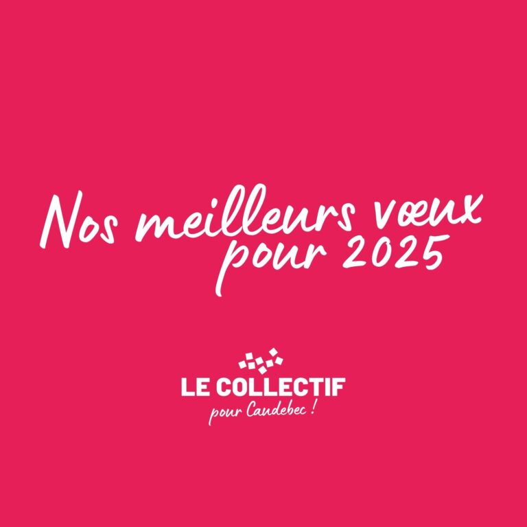 Nos vœux 2025 aux Caudebecaises et Caudebecais